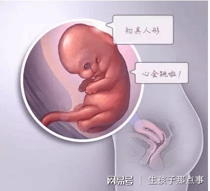 代生选性别包生男孩